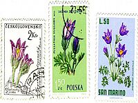 Briefmarken mit Pulsatilla
