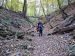 Moosexkursion in der Märkischen Schweiz (G. Krüger)