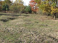 Beweidungserfolg (G. Krüger, Herbst 2016)
