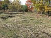 Beweidungserfolg (G. Krüger, Herbst 2016)