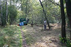 Wuhlheide -Arbeitseinsatz September 2012