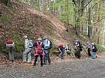 Mooskartierung Naturpark Hoher Fläming (A. Basner)