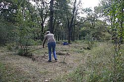 Wuhlheide -Arbeitseinsatz September 2012